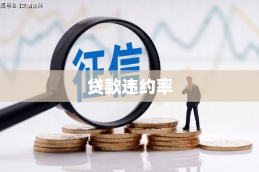 宜黄贷款违约率