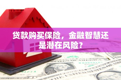 宜黄贷款购买保险，金融智慧还是潜在风险？