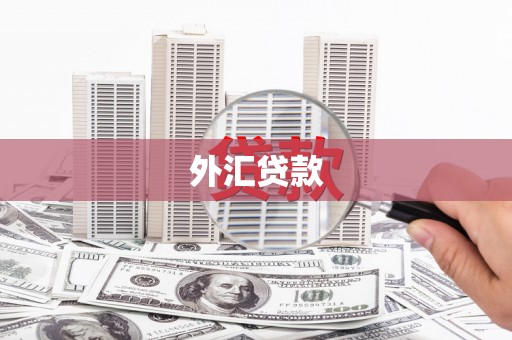 宜黄外汇贷款