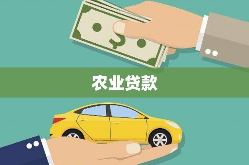 宜黄农业贷款