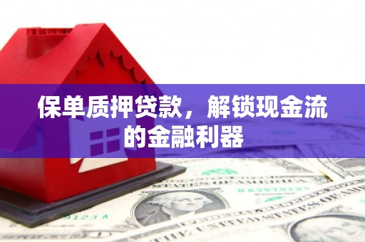 宜黄保单质押贷款，解锁现金流的金融利器