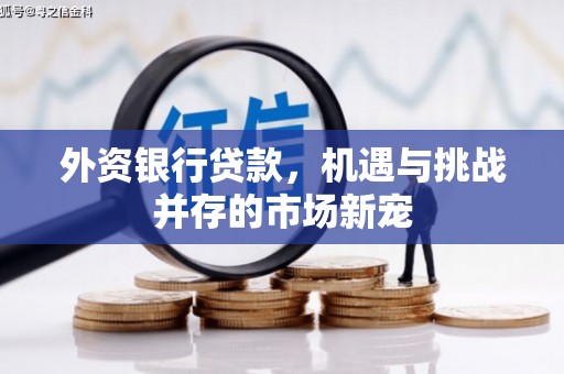宜黄外资银行贷款，机遇与挑战并存的市场新宠