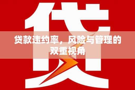 宜黄贷款违约率，风险与管理的双重视角