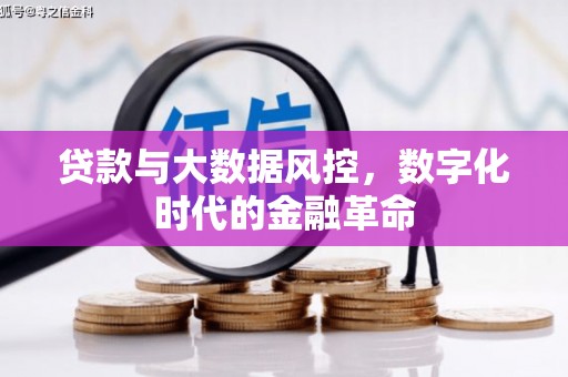 宜黄贷款与大数据风控，数字化时代的金融革命