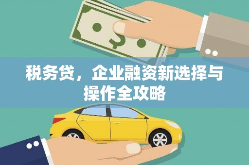 宜黄税务贷，企业融资新选择与操作全攻略