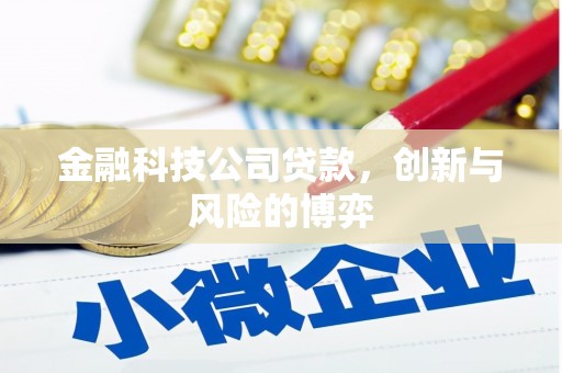 宜黄金融科技公司贷款，创新与风险的博弈