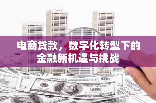 宜黄电商贷款，数字化转型下的金融新机遇与挑战