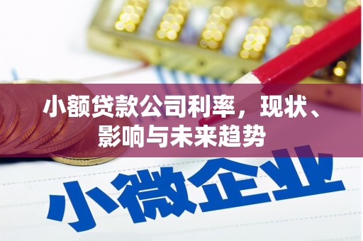 宜黄小额贷款公司利率，现状、影响与未来趋势