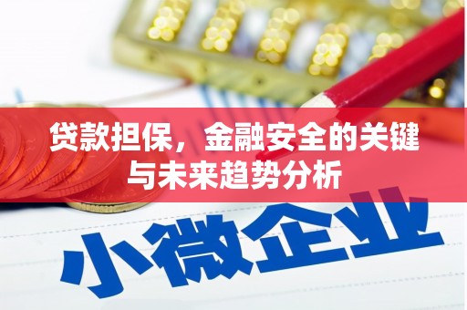 宜黄贷款担保，金融安全的关键与未来趋势分析