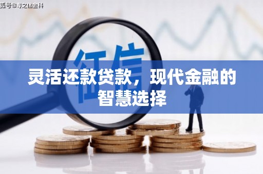 宜黄灵活还款贷款，现代金融的智慧选择