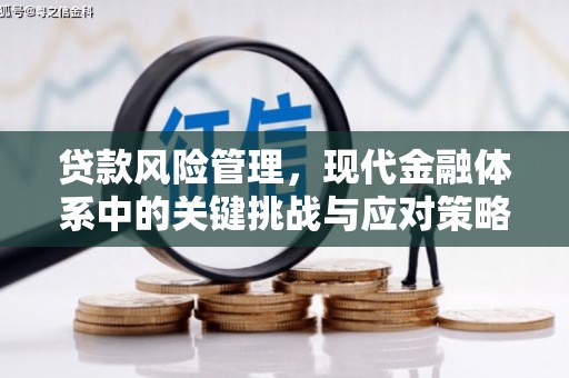 宜黄贷款风险管理，现代金融体系中的关键挑战与应对策略