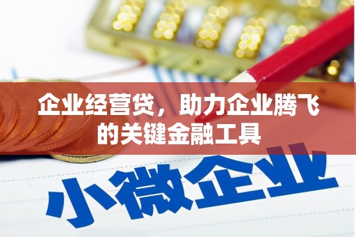 宜黄企业经营贷，助力企业腾飞的关键金融工具