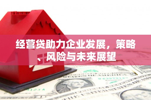 宜黄经营贷助力企业发展，策略、风险与未来展望