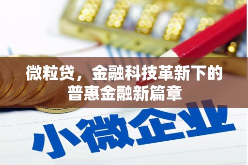 宜黄微粒贷，金融科技革新下的普惠金融新篇章