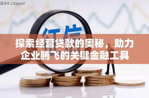 宜黄探索经营贷款的奥秘，助力企业腾飞的关键金融工具