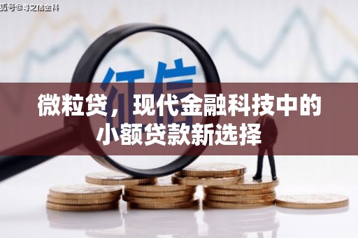 宜黄微粒贷，现代金融科技中的小额贷款新选择