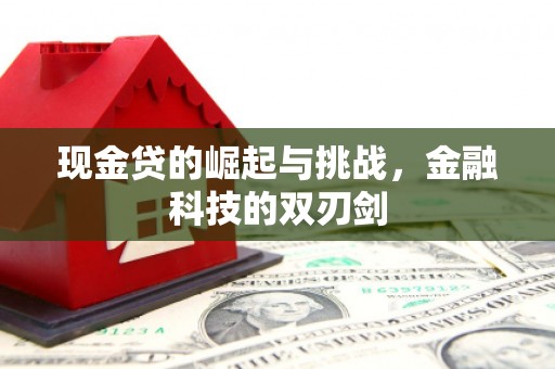 宜黄现金贷的崛起与挑战，金融科技的双刃剑