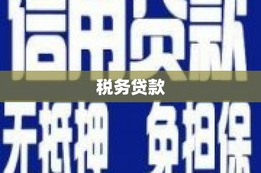 宜黄税务贷款