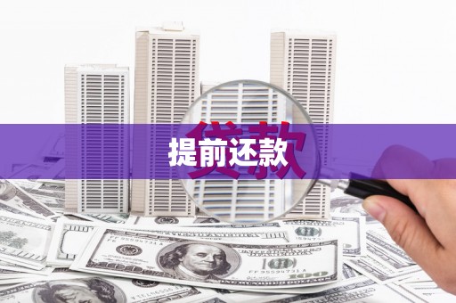 宜黄提前还款