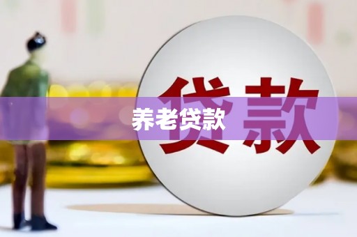 宜黄养老贷款