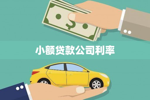 宜黄小额贷款公司利率