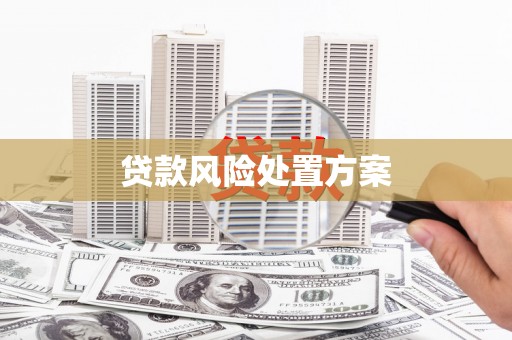 宜黄贷款风险处置方案