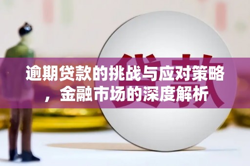 宜黄逾期贷款的挑战与应对策略，金融市场的深度解析