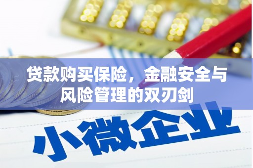 宜黄贷款购买保险，金融安全与风险管理的双刃剑