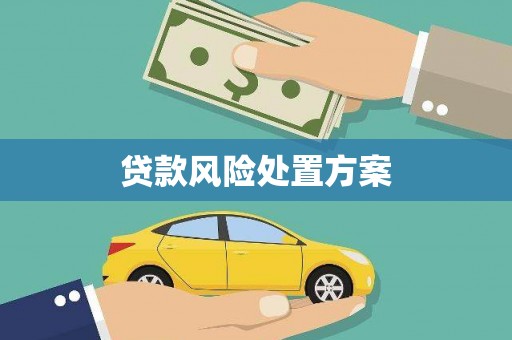 宜黄贷款风险处置方案