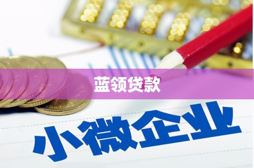宜黄蓝领贷款