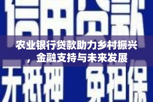 宜黄农业银行贷款助力乡村振兴，金融支持与未来发展