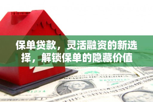 宜黄保单贷款，灵活融资的新选择，解锁保单的隐藏价值