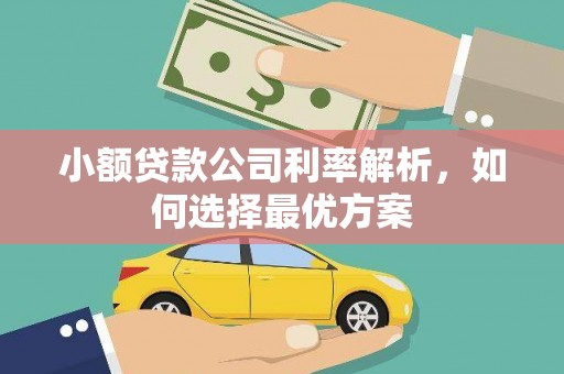 宜黄小额贷款公司利率解析，如何选择最优方案