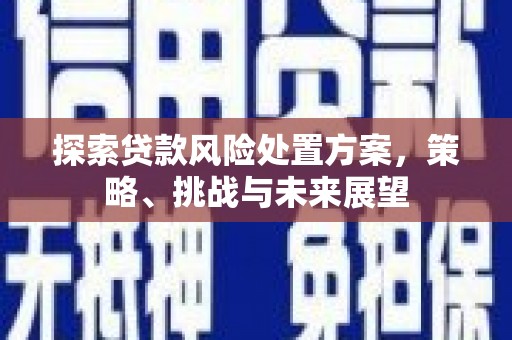 宜黄探索贷款风险处置方案，策略、挑战与未来展望