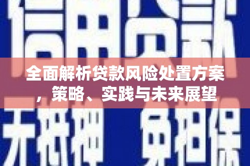宜黄全面解析贷款风险处置方案，策略、实践与未来展望
