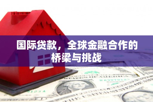 宜黄国际贷款，全球金融合作的桥梁与挑战