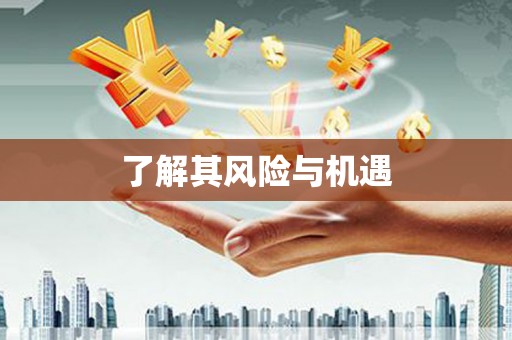 宜黄了解其风险与机遇