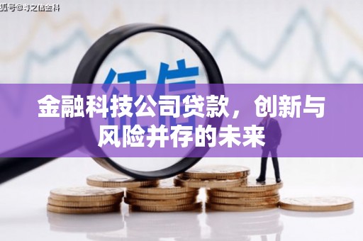 宜黄金融科技公司贷款，创新与风险并存的未来