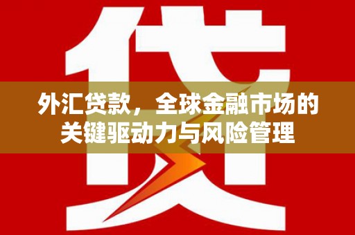 宜黄外汇贷款，全球金融市场的关键驱动力与风险管理