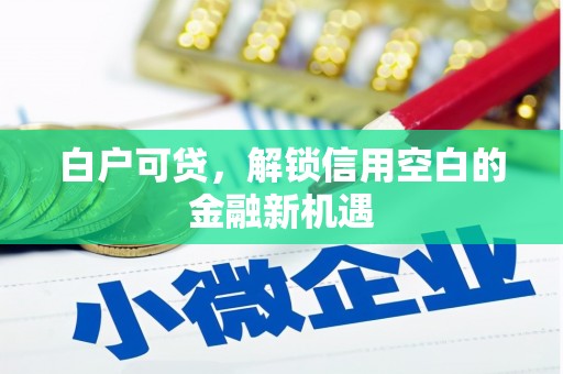 宜黄白户可贷，解锁信用空白的金融新机遇