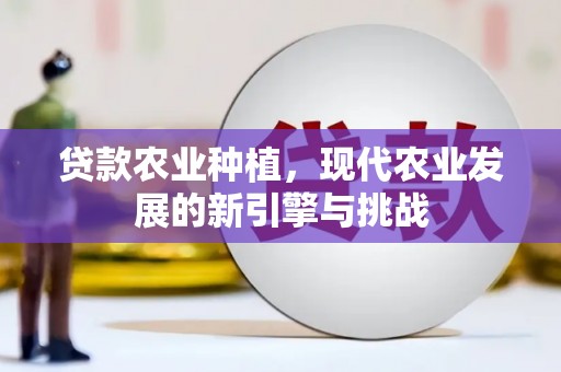 宜黄贷款农业种植，现代农业发展的新引擎与挑战