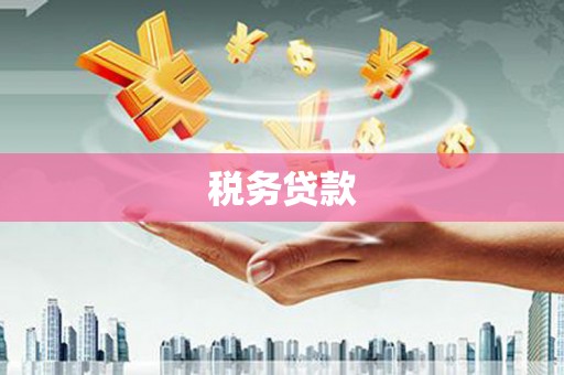 宜黄税务贷款