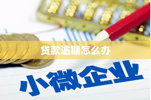 宜黄贷款逾期怎么办