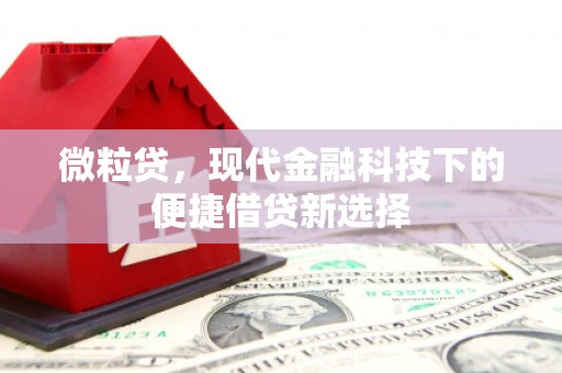 宜黄微粒贷，现代金融科技下的便捷借贷新选择