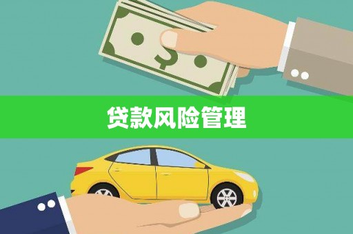 宜黄贷款风险管理