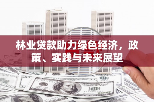 宜黄林业贷款助力绿色经济，政策、实践与未来展望
