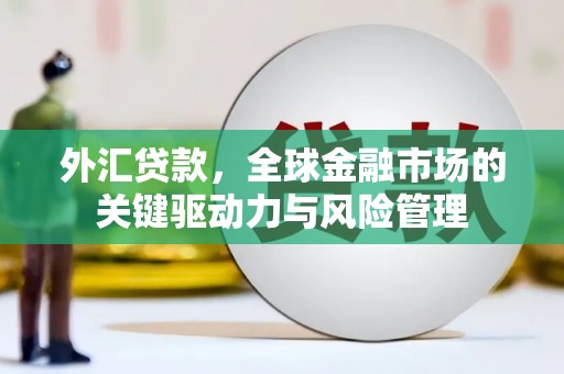 宜黄外汇贷款，全球金融市场的关键驱动力与风险管理