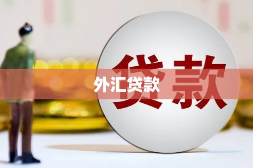 宜黄外汇贷款