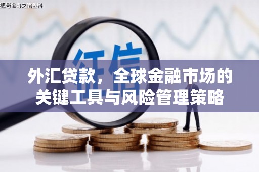 宜黄外汇贷款，全球金融市场的关键工具与风险管理策略