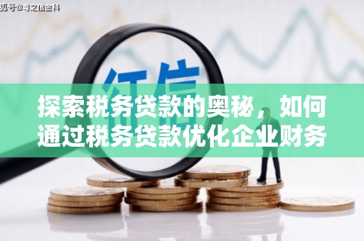 宜黄探索税务贷款的奥秘，如何通过税务贷款优化企业财务